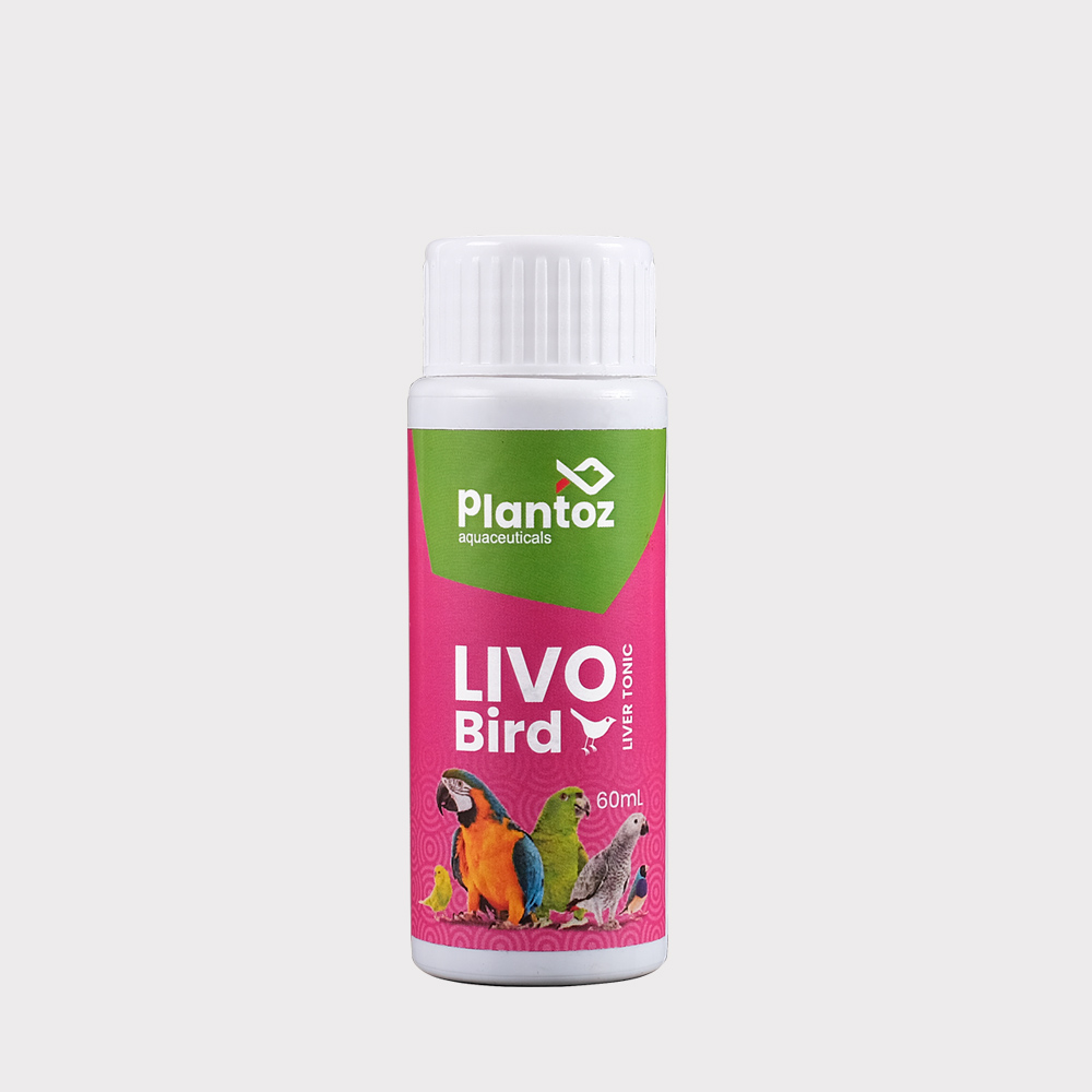 Livo Bird 60ML