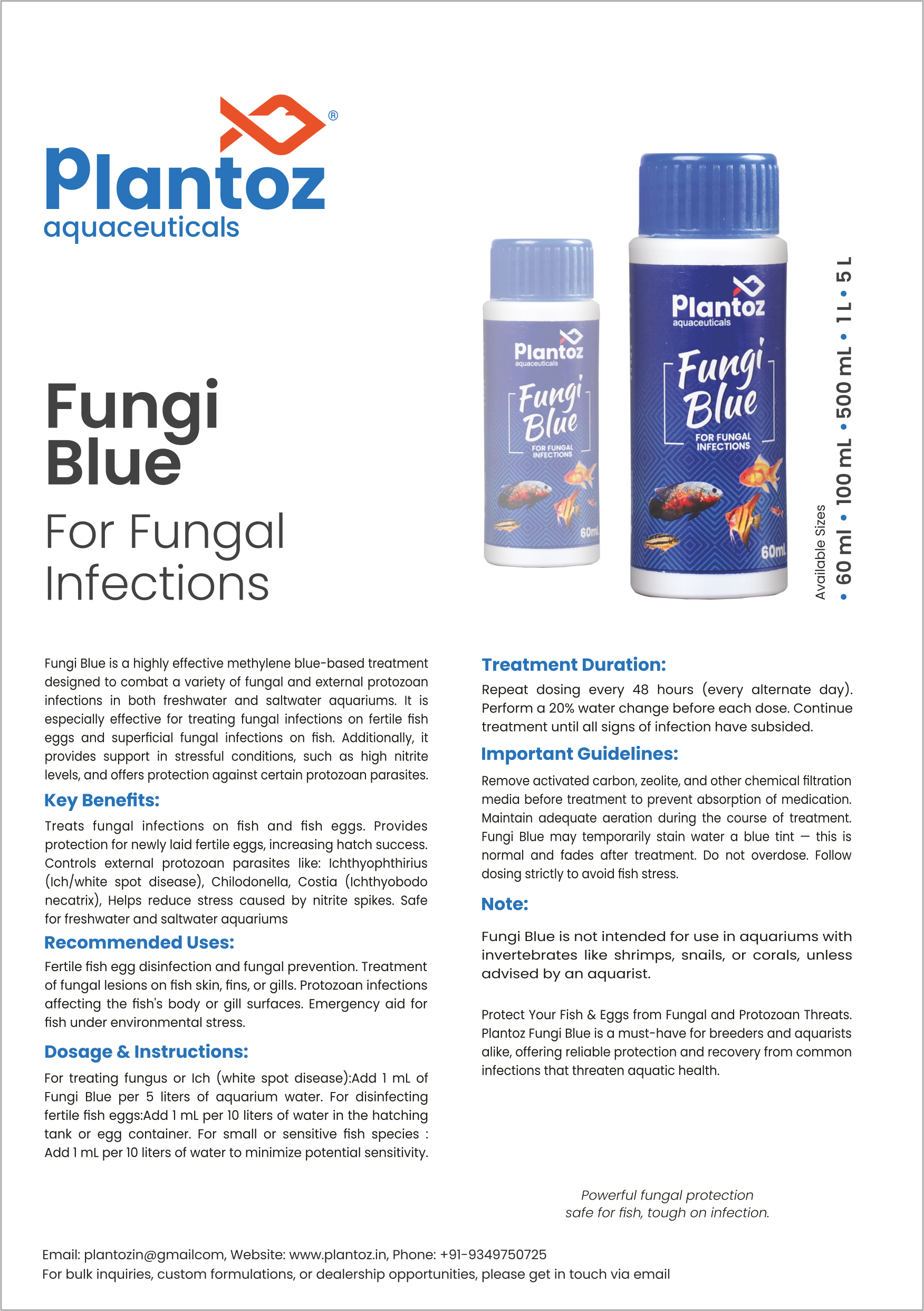 Fungi Blue